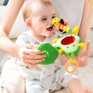 مجموعة الفواكه الحسية الذكية